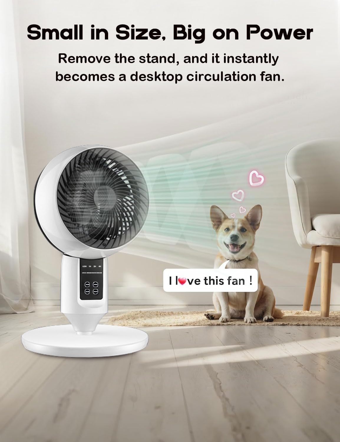 Veltrix | Höhenverstellbarer Standventilator mit Oszillation