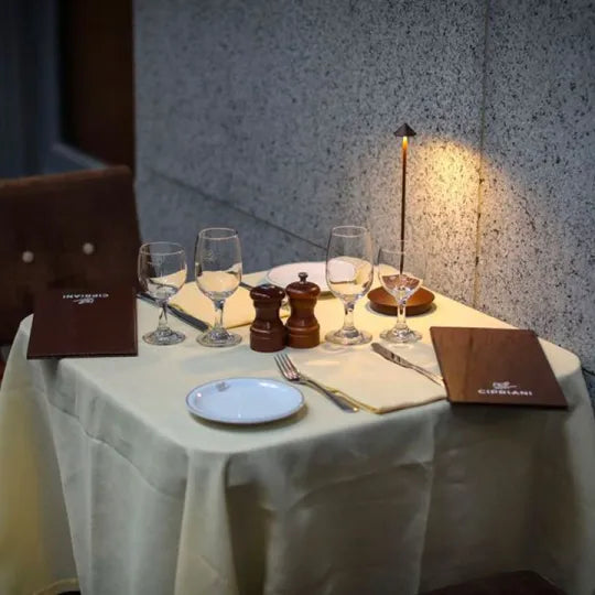 Zeldor | Lampada da tavolo LED senza fili con controllo touch e batteria ricaricabile