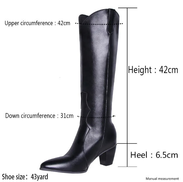 Nicole | Damen kniehohe Stiefel mit spitzer Form und Blockabsatz