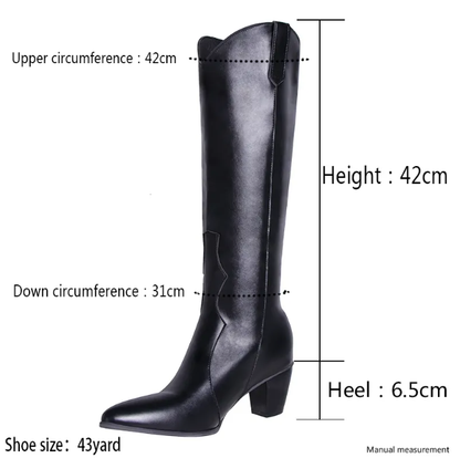 Nicole | Damen kniehohe Stiefel mit spitzer Form und Blockabsatz