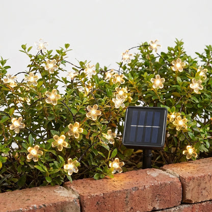 Delvon | Solar Lichterkette mit Blumenform für den Außenbereich