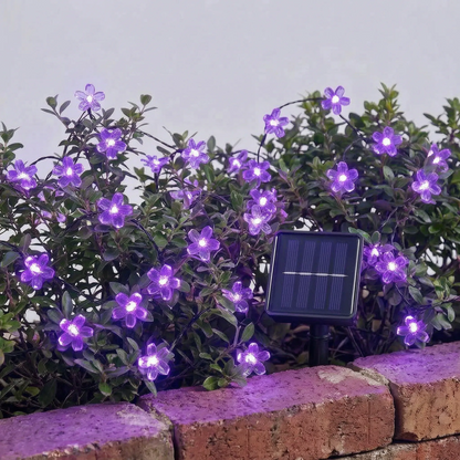Delvon | Solar Lichterkette mit Blumenform für den Außenbereich