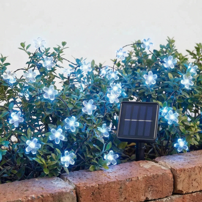 Delvon | Solar Lichterkette mit Blumenform für den Außenbereich